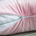 thumbnail image 3 of Paquete de 2 fundas de almohada cuadradas decorativas suaves de terciopelo, fundas de almohada para sofá, dormitorio, coche, 18 x 18 pulgadas/45 x 45 cm, rosa brillante (hy), 3 of 5