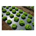 thumbnail image 2 of Grower's Solution Black Plastic Mulch 4ft. X 100ft. 1.0 Mil Embossed, 2 of 3