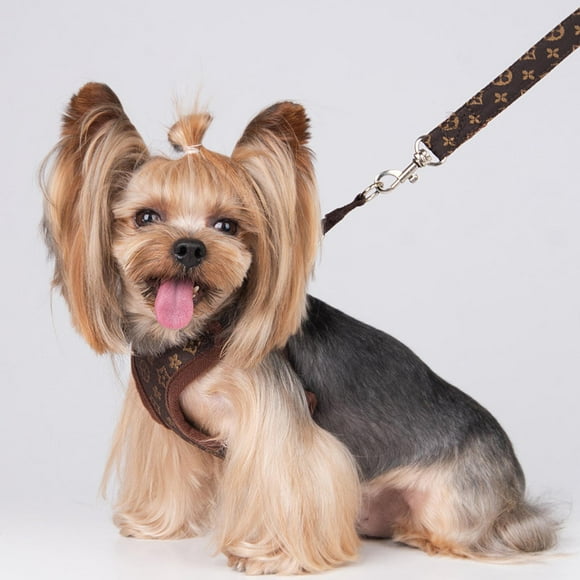 Cat Harness Leash,Pet Harness Leash Polyester Dog Harness Leash Dog Chest Harness Leash Exquisite Design