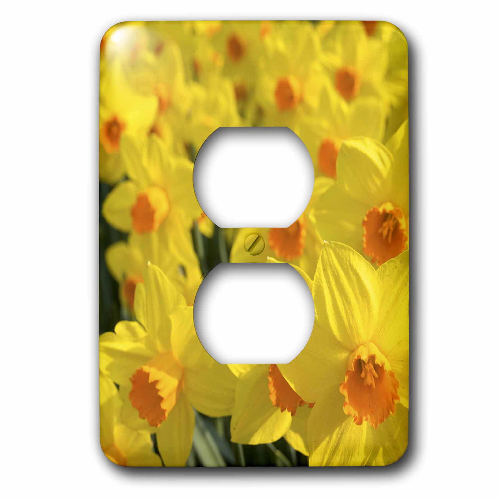 Eu20 Len0092 Lisa S Engelbrecht 2 Plug Outlet Cover 3dRose Lsp_82331_6 Netherlands Keukenhof Garden Daffodil Flowers 