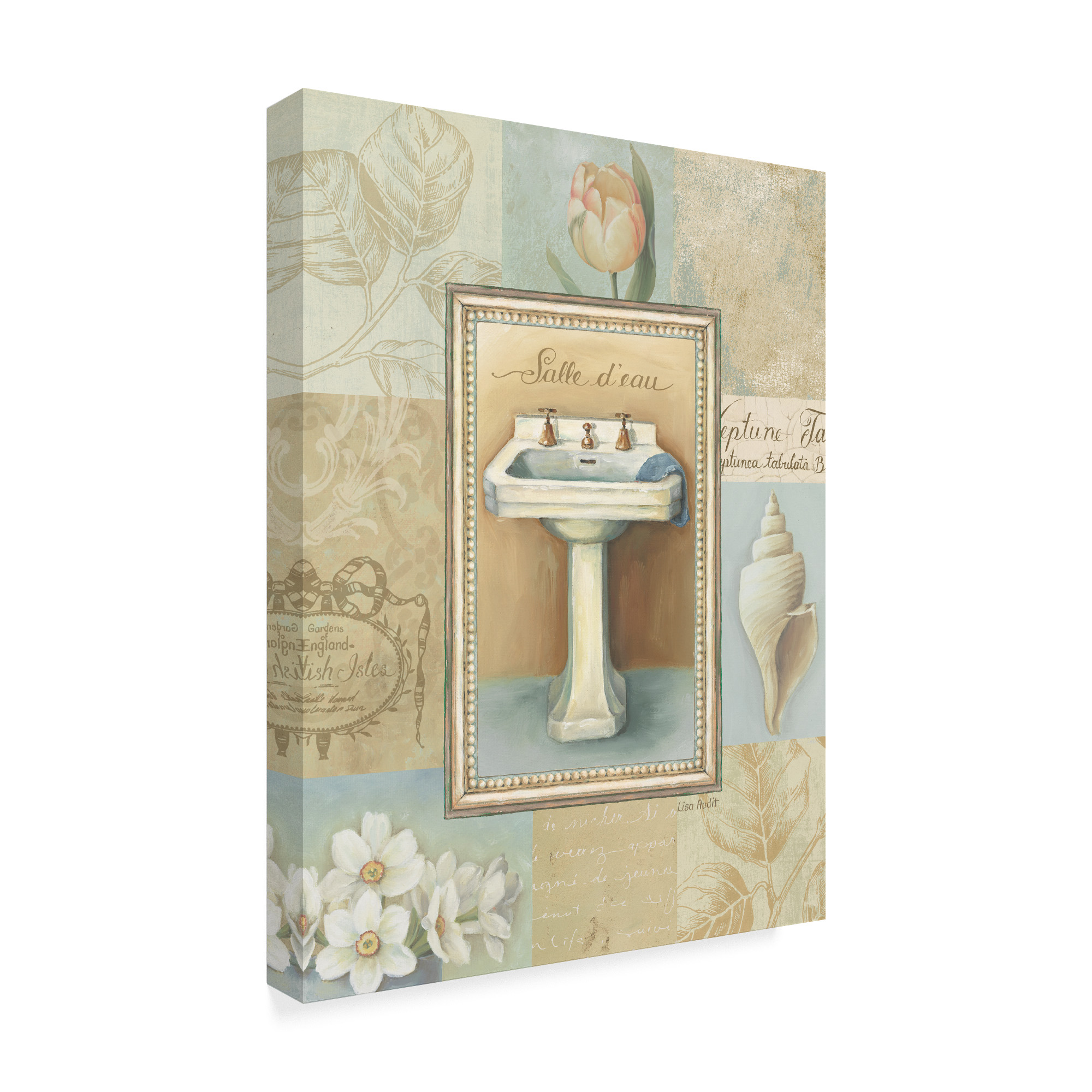 Trademark Fine Art 'Tranquil Bath I' Canvas Art by Lisa Audit