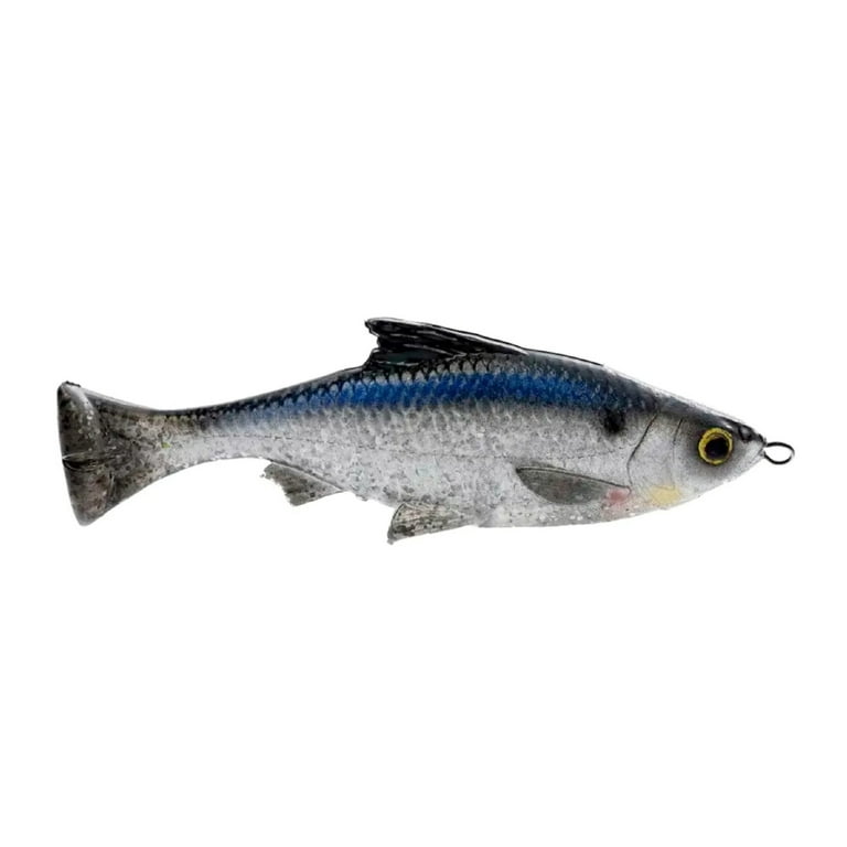 Savage Gear Pulse Tail Shiner LB - Pro Series I Swimbait - Amazing Act –  Blue Springs Bait & Tackle