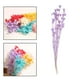 thumbnail image 4 of Ramo de anís estrellado Ramo de flores secas de estrellado, decoración Floral Natural arreglo de flores de centro de de oficina en hogar Fanmusic Ramo de anís estrellado, 4 of 7