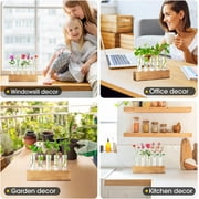 Desktop Plant Propagation Station, Dingrich 5 Glass Test Tube Plant Terrarium with Wooden Stand for Hydroponic Plants Home Office Home Decoration