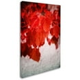 thumbnail image 2 of Trademark Fine Art "Red is On" Canvas Art by Philippe Sainte-Laudy, 2 of 3