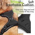 thumbnail image 3 of No-pull Dog Harness Padded Adjustable Pet Vest Harness For Large Dogs Training Or Walking, 3 of 5