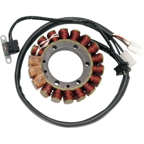 RICK'S MOTORSPORT ELECTRIC Stator    21-913