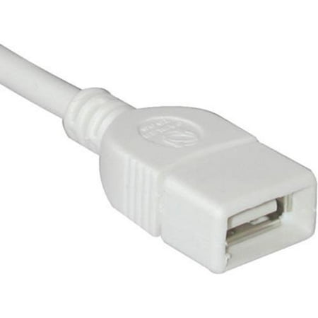 C2G/Cables to Go 2m USB Extension Cable - USB 2.0 A Male to A Female White (6.6ft) - Buy C2G/Cables to Go 2m USB Extension Cable - USB 2.0 A Male to A Female White (6.6ft) Online at Low Price in India