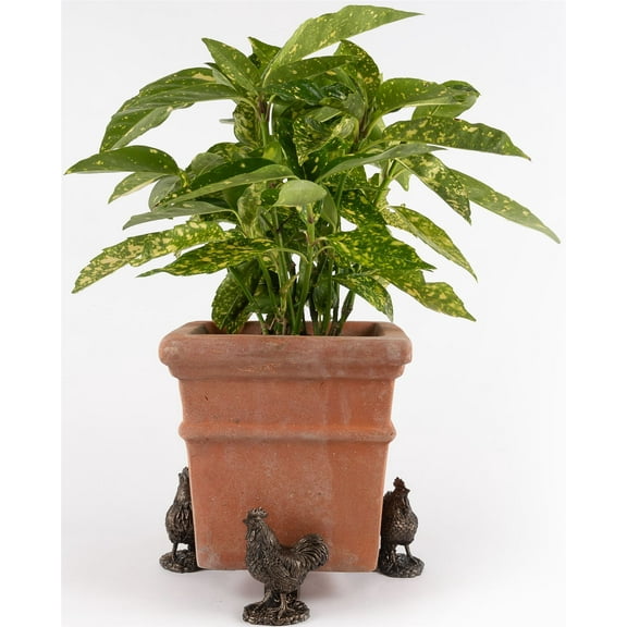 Potty Feet Buff Orpington Chicken Theme Plant Pot Feet Bronze Color 3pc