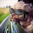 thumbnail image 1 of Dog Sunglasses Dog Goggles Anti-UV Windproof Dustproof Anti-fog Pet Glasses Goggles, 1 of 5