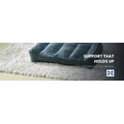 Sealy Supportive Pet Mattress