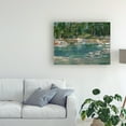 thumbnail image 3 of Trademark Fine Art 'Northwestern Lake I' Canvas Art by Ethan Harper, 3 of 3
