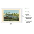thumbnail image 2 of Coconut (Cocoanut) Palms - Hawaii - Vintage Hawaiian Color Postcard c.1910s - Fine Art Rolled Canvas Print (Unframed) 27in x 40in, 2 of 4