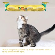 Amusement Cat Toy Climbing Pet Track Ball Games Suction Cup Interactive Playing