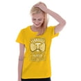 thumbnail image 3 of Tennessee TN Southern State Tradition Women's T Shirt Ladies Tee Brisco Brands 2X, 3 of 6