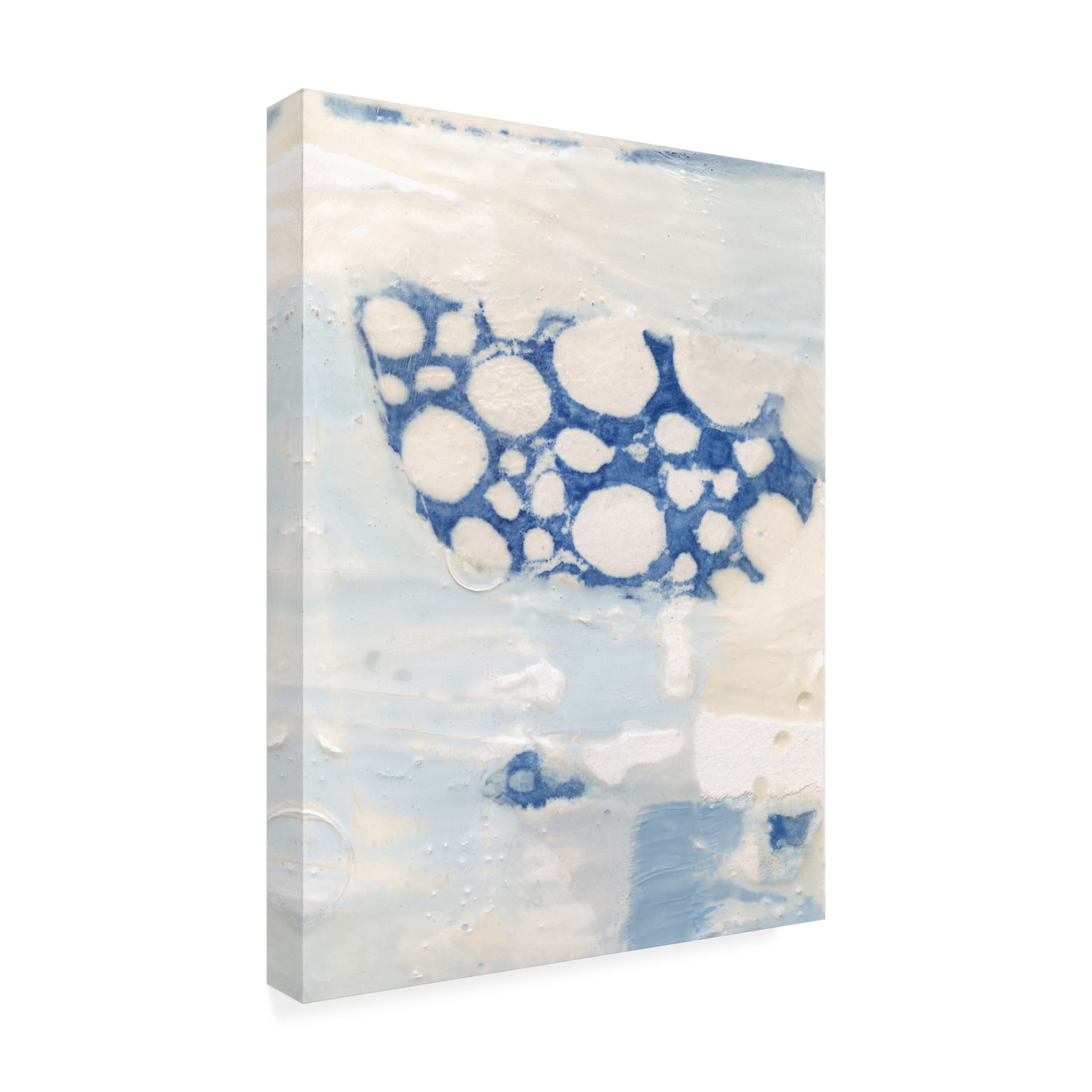 Trademark Fine Art Sue Jachimiec  Lido I Canvas Wall Art