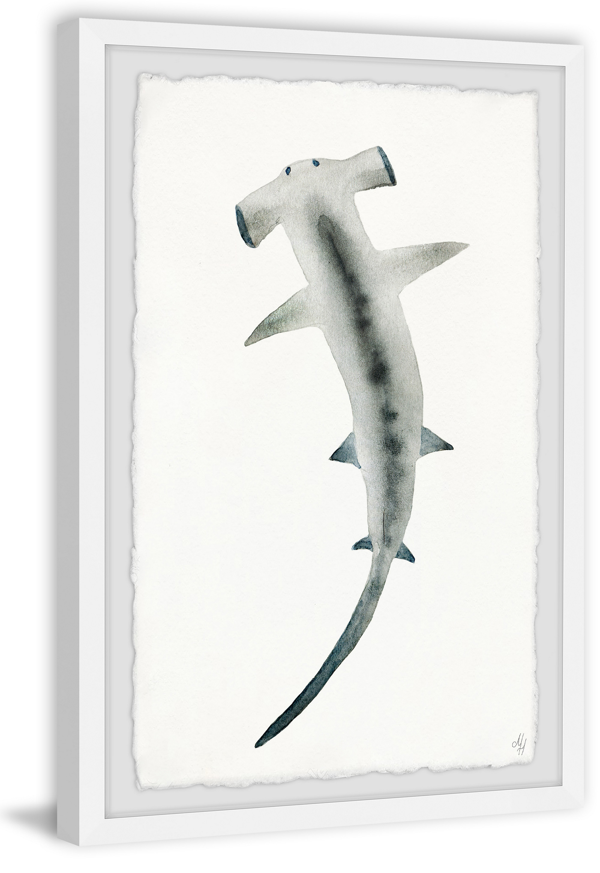 Marmont Hill The Hammerhead Framed Wall Art, 8.00" x 1.50"