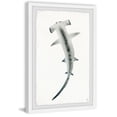 thumbnail image 2 of Marmont Hill The Hammerhead Framed Wall Art, 20.00" x 1.50", 2 of 6