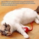 thumbnail image 4 of Smart Self Rolling Cat Toy with LED Lights, Automatic Interactive Ball for Kittens and Cats, 4 of 5