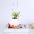 thumbnail image 3 of Maceta Ganso Con Columpio Pingüino Bonita para Interior Y Exterior, 3 of 9