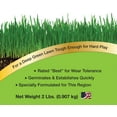 thumbnail image 4 of Gro Green Perennial Rye Fast Growing Grass Seed - 2 lb., 4 of 5