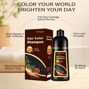 Black Hair Dye Shampoo 3 in 1, Long-Lasting Gray Coverage, Natural Black Hair Color Shampoo with Hair Masks, Easy Application Shampoo Para Canas for Women Men 16.9 Fl Oz