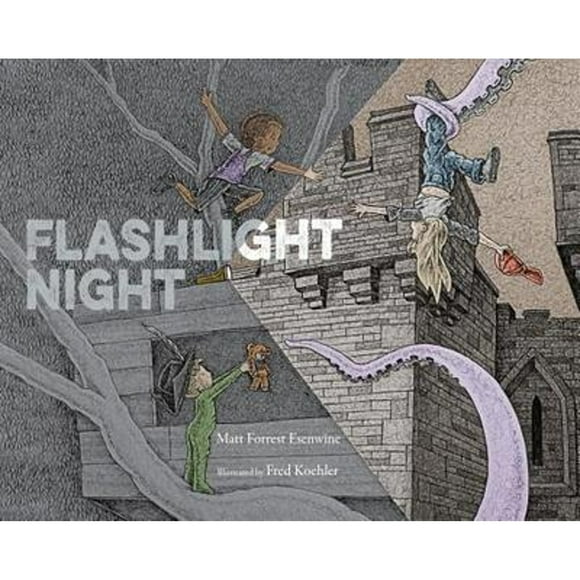 Pre-Owned Flashlight Night (Hardcover 9781629794938) by Matt Forrest Esenwine