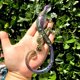 thumbnail image 1 of Molde de silicona - Fabricación de resina epoxi hecha a mano con forma de gecko 3D 2 piezas Sywqhk Libre de BPA, 1 of 9