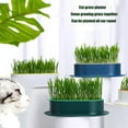 thumbnail image 6 of Trianu Cat Grass Planter, Cat Grass Kit, Cat Grass Growing Kit, Easy to Plant, Suitable for Indoor Cats(2 Pack, White, Only Planters), 6 of 8
