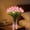 Pink(Without Vase), variant on Radiant Romantic Tulip Light , 10/15 PCS Twinkling Tree Tulips Led Night Light that Never Fade, Flower Shaped Ambient Night Lamp for Bedroom Bedside Decor & Gift