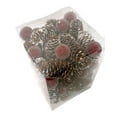 thumbnail image 2 of Better Homes & Garden Frosted Brown Pinecones and Red Berries 14 oz Decorative Bowl Filler, 2 of 2