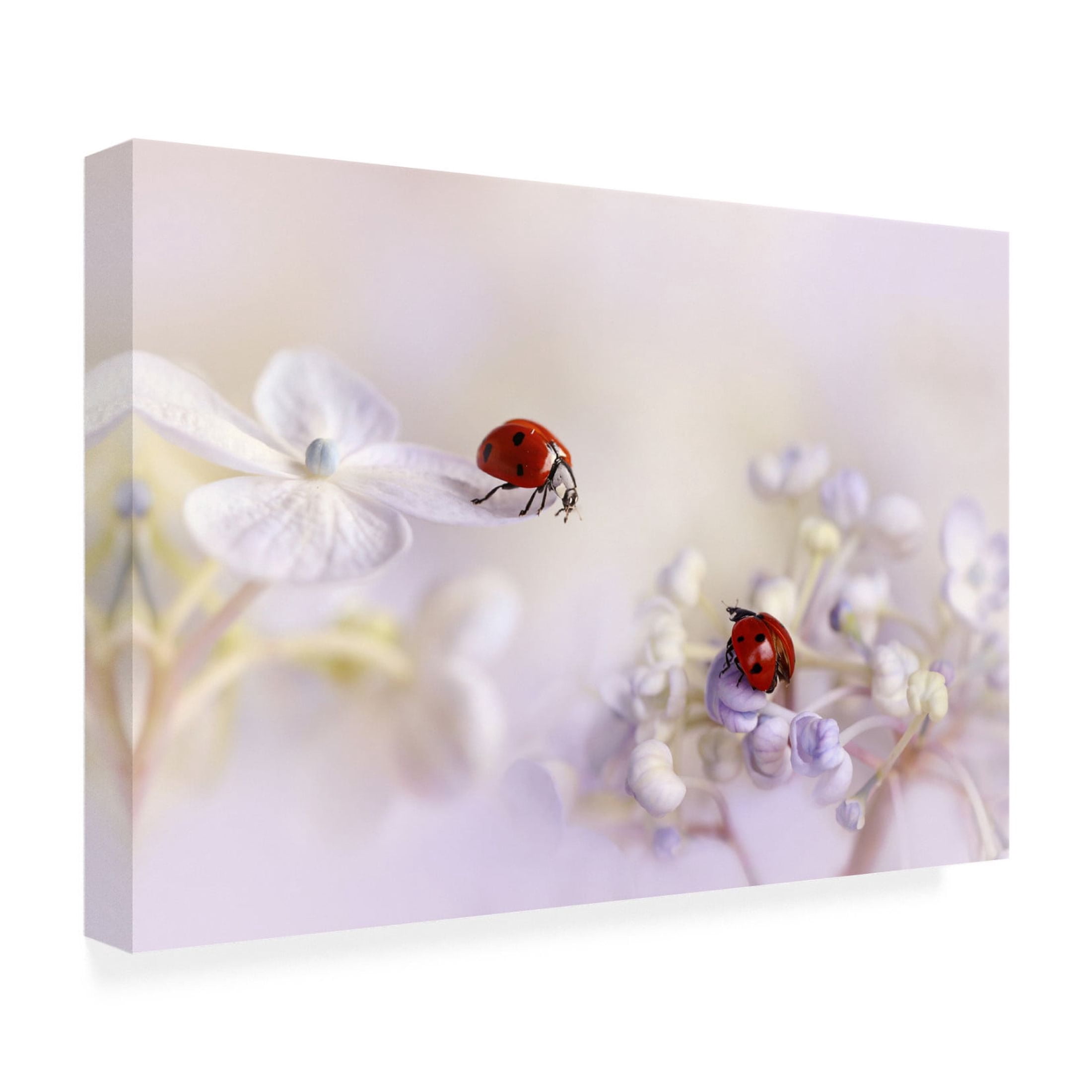 Canvas Wall Art - Ellen Van Deelen 'Small Friends' Wall Art for Living Room, Bedroom, or Office Décor by Trademark Fine Art - 24 x 16 Inches