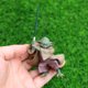 thumbnail image 2 of Star Wars Jedi Knight Yoda Baby Force Awakens Yoda Master's Handmade, 2 of 5