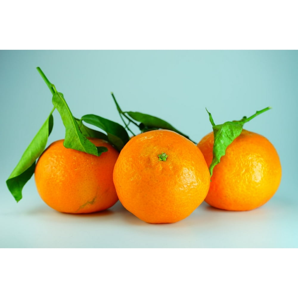 Clementines Oranges Citrus Fruit Orange Tangerines20 Inch By 30 Inch