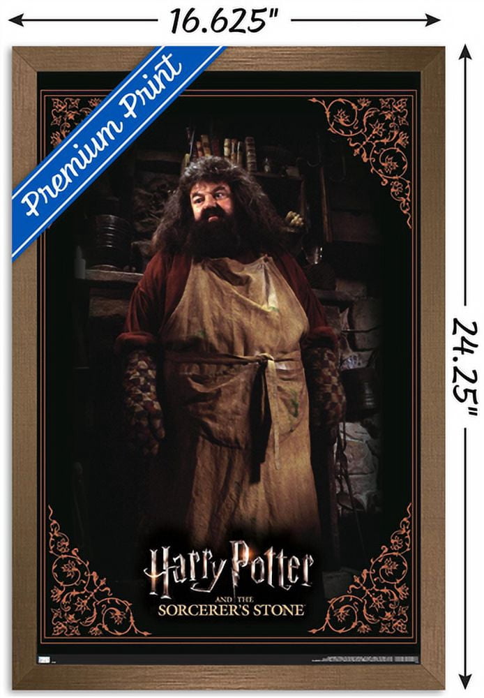 Harry Potter and the Sorcerer's Stone - Hagrid Cooking Wall Poster, 14.725" x 22.375", Framed