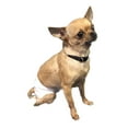 thumbnail image 3 of XS Extra Small Dog Diapers, 3 of 5