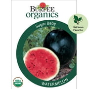 Burpee Organic Sugar Baby Watermelon Vegetable Seed, 1-Pack