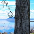 thumbnail image 4 of DOLITY Silhouette d'Arbre en Fer Forgé Fait Main Décoration de Ferme, 4 of 9
