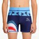 thumbnail image 4 of Odeerbi 3-14 Años Niños Pantalones Cortos de Natación Con Gorra de Natación Pantalones Cortos de Playa Secos Rápidos Con Bolsillos Pantalones Cortos de Cintura Elástica, 4 of 6
