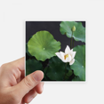 thumbnail image 1 of Fresh Lotus Picture Nature Sticker Square Waterproof Stickers Wallpaper Car Decal, 1 of 1