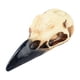 thumbnail image 1 of Figura de calavera de Halloween, adorno de calavera, decoración, collar, decoración de Halloween para 59 mm x 24 mm x 22 mm, 1 of 9