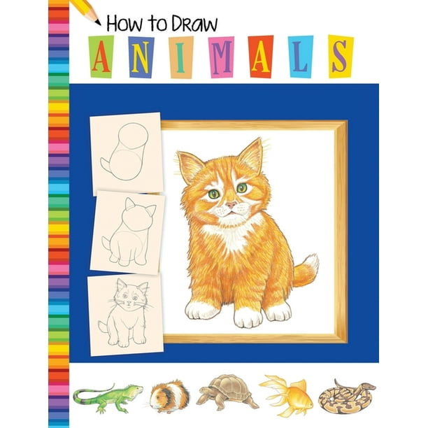 How To Draw Animals Learn To Draw Animals Step By Step Using Basic Shapes And Lines How To Draw Animals Books For Kids Paperback Walmart Com Walmart Com