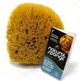 thumbnail image 2 of Acme Y6070C Sponge Natural Yellow Cut, 6-7", 2 of 2