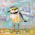 thumbnail image 2 of Vertentes, Jeanette 15x15 Gold Ornate Wood Framed with Double Matting Museum Art Print Titled - Coastal Plover II, 2 of 4