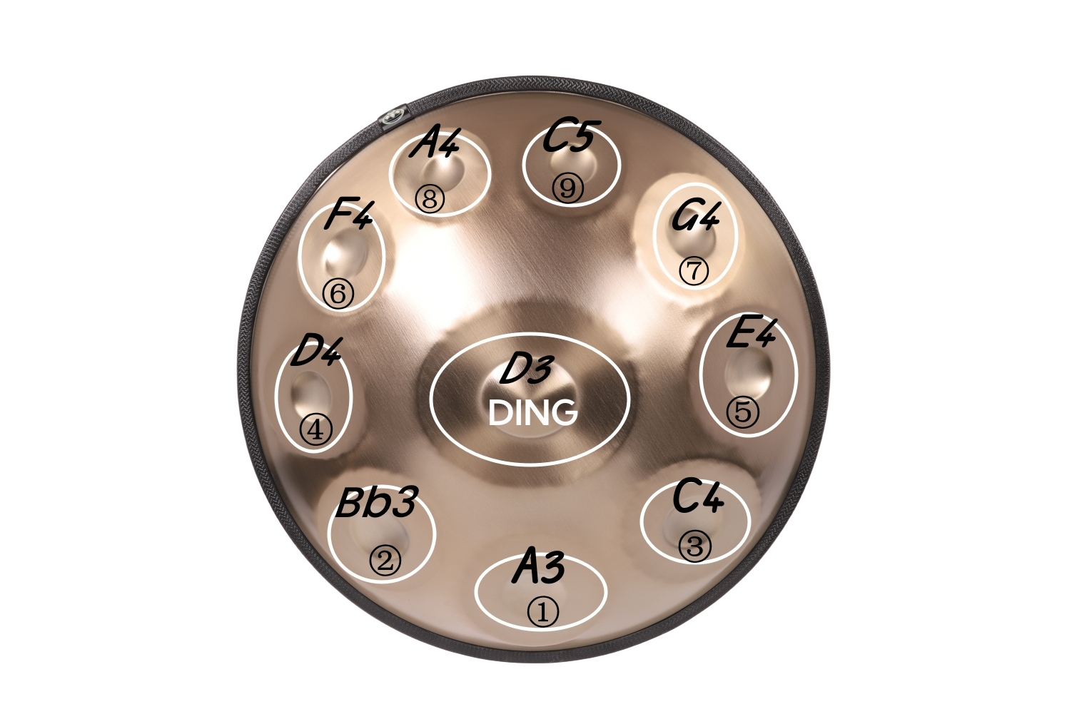 440Hz Drum in D Minor 10 Notes Handpan 22 Inche Steel drum percussion instrument with soft bag(Gold 10notes)