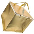 thumbnail image 1 of WEUVEB Bolsa Térmica Para Picnic Con Cremallera Fácil Y Estable Para, 1 of 8