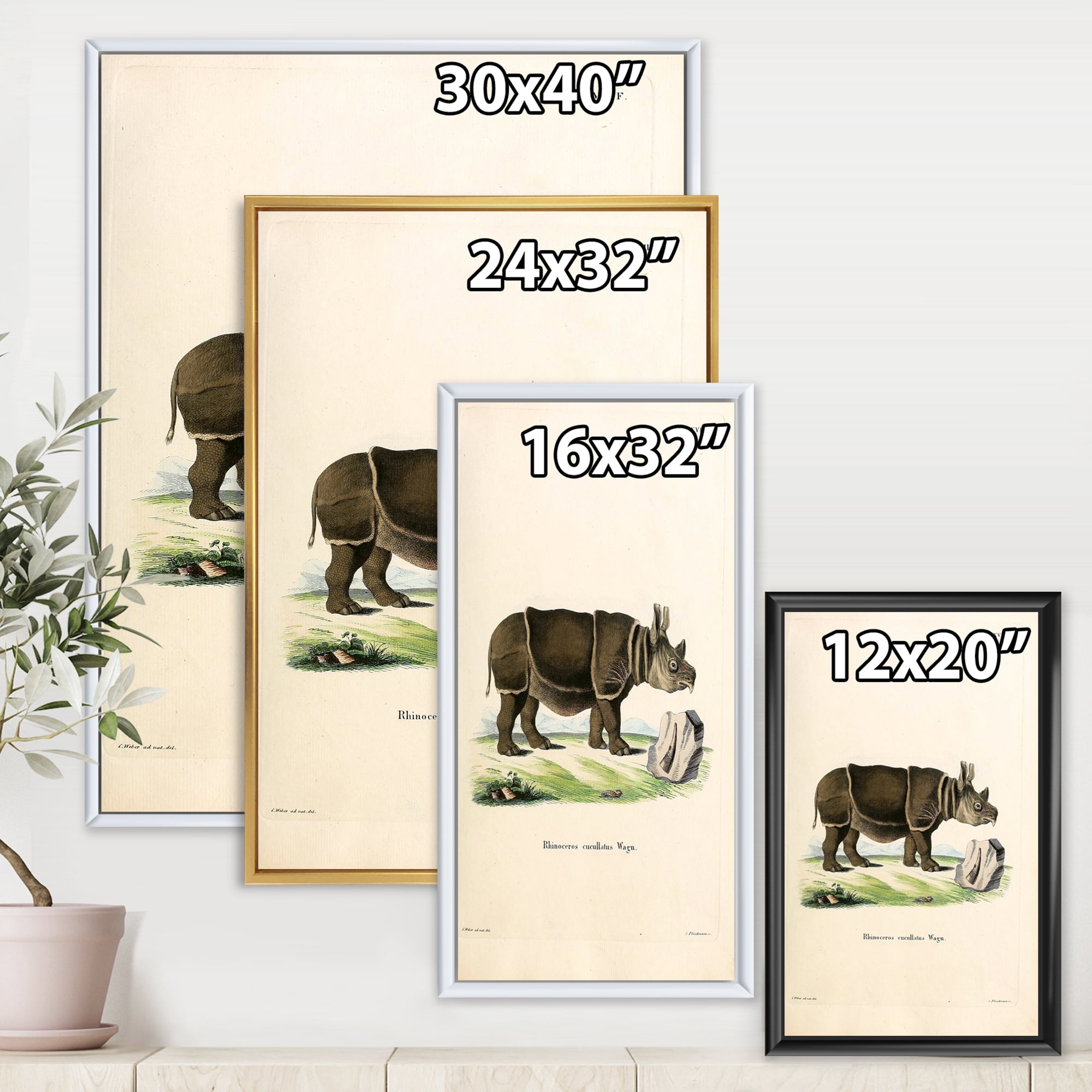 Designart 'Ancient Rhinoceros' Farmhouse Framed Canvas Wall Art Print