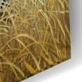 thumbnail image 3 of Epic Art 'Leopard 2' by Harro Maass, Acrylic Glass Wall Art, 24"x16", 3 of 8