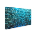 thumbnail image 2 of Henry Jager 'Split School Of Jackfish' Canvas Art, 2 of 3