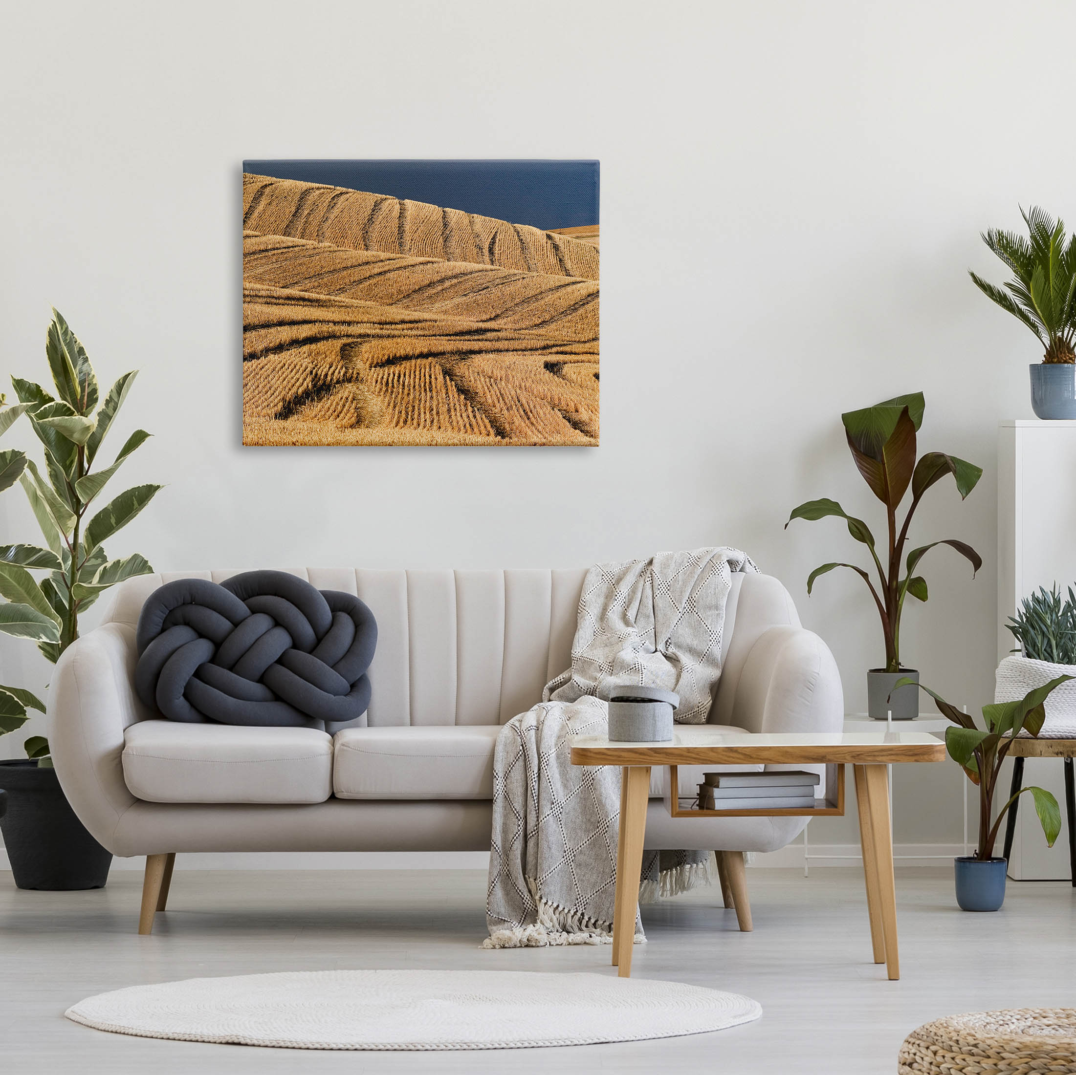 Stupell Industries Wavy Cornfield Lines Vast Rural Field Photograph Gallery Wrapped Canvas Print Wall Art, Design by David Lorenz